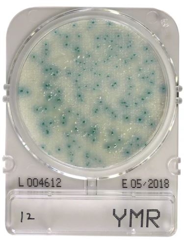 Đĩa Compact Dry YMR Yeast and Mold Rapid