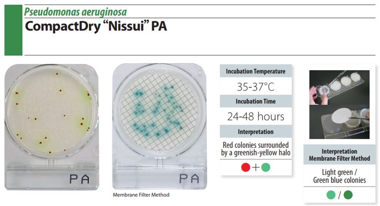 Đĩa Compact Dry PA Pseudomonas aeruginosa