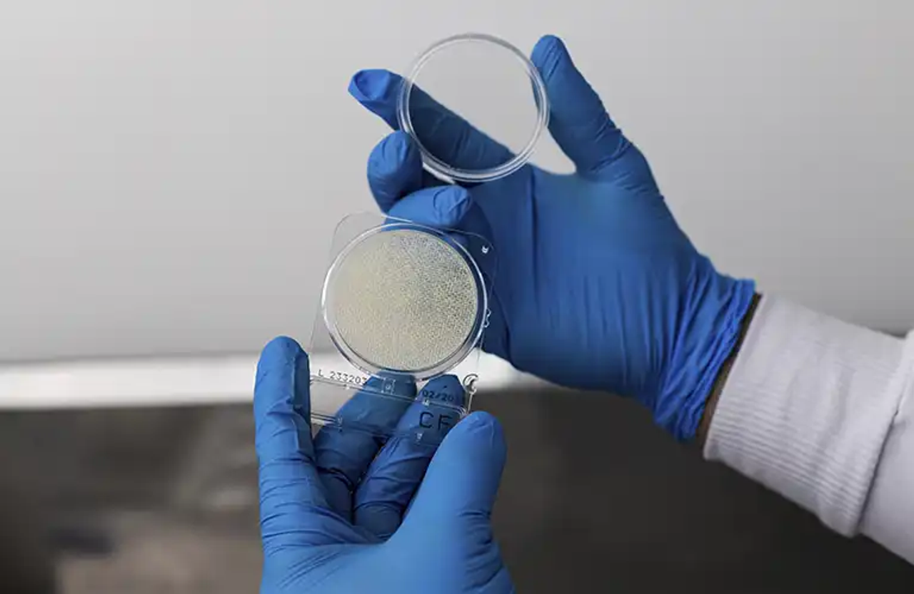 Giải pháp kiểm soát Coliform trong nước đóng chai bằng Compact Dry EC, Compact Dry CF