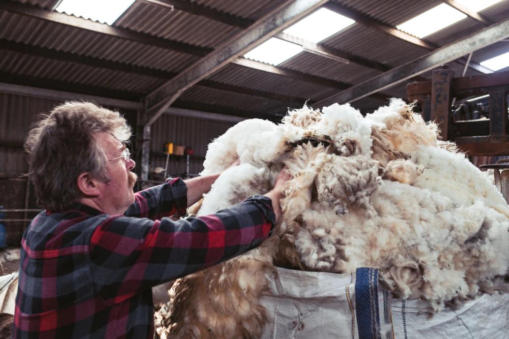 Cut wool being placed in bags