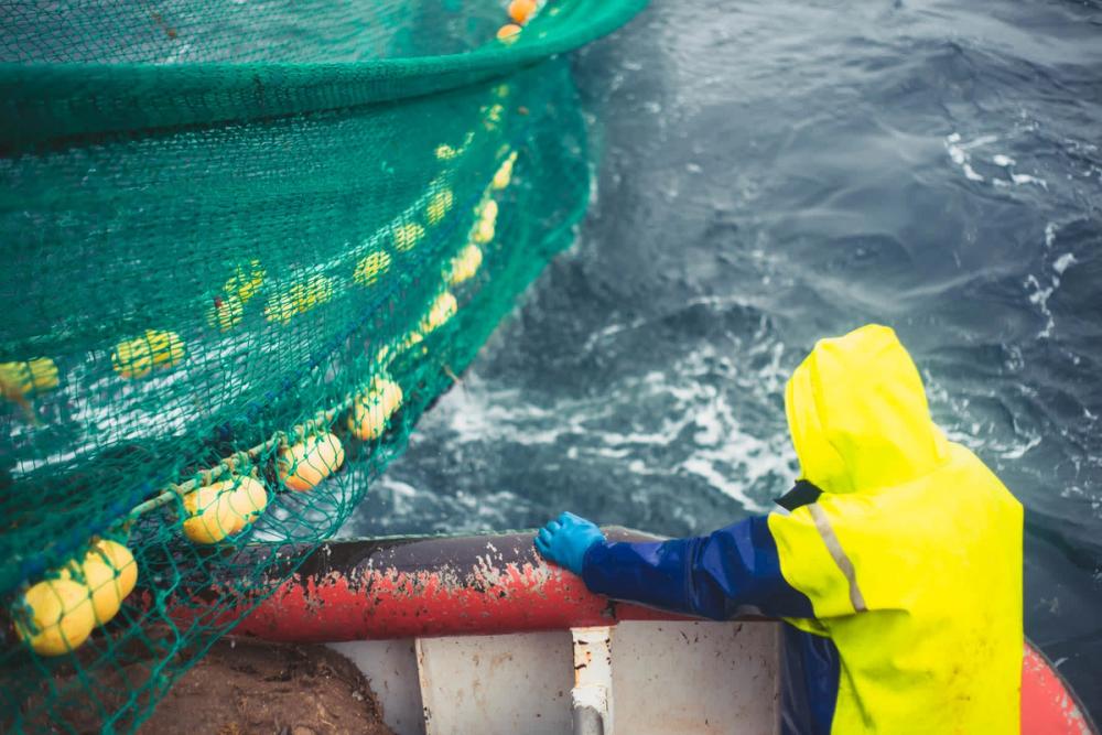 A fisherman watches fishing nets being winched aboard