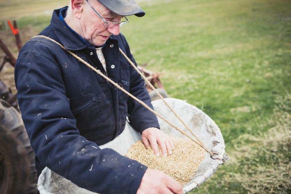 Crofter with a basket of beremeal seeds