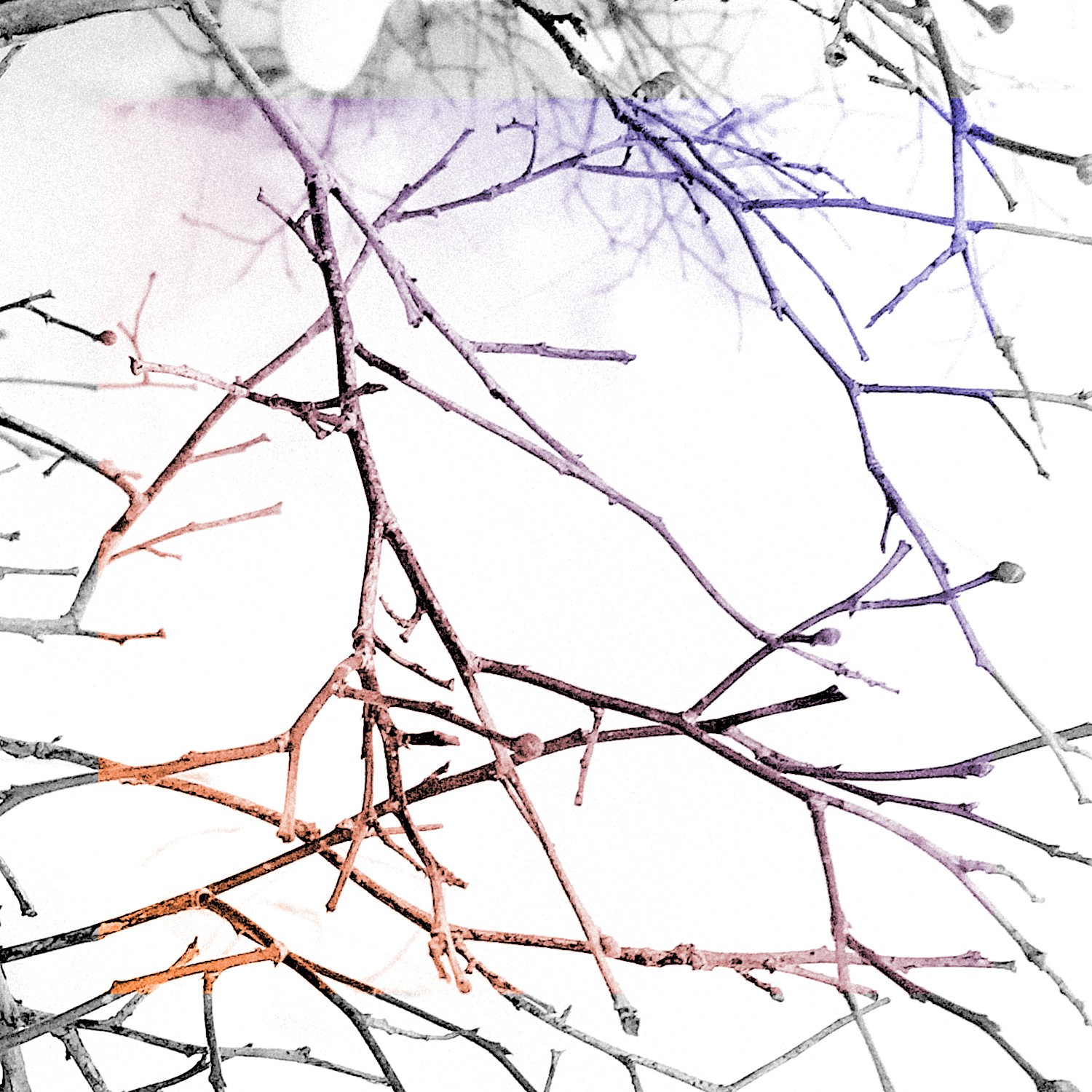 Graph neural networks cover image