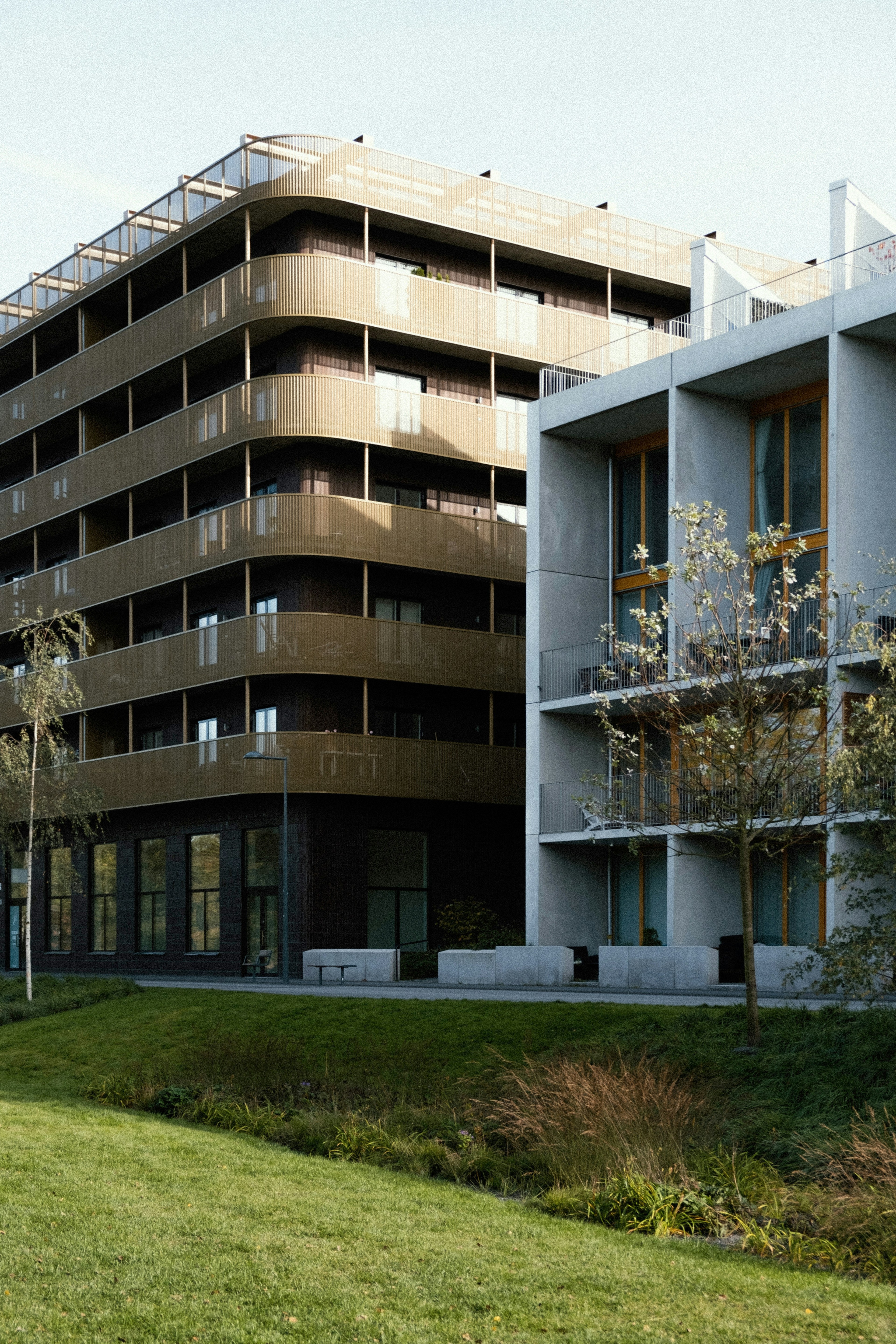 Redefining the Future of Build-to-Rent with Catella cover image
