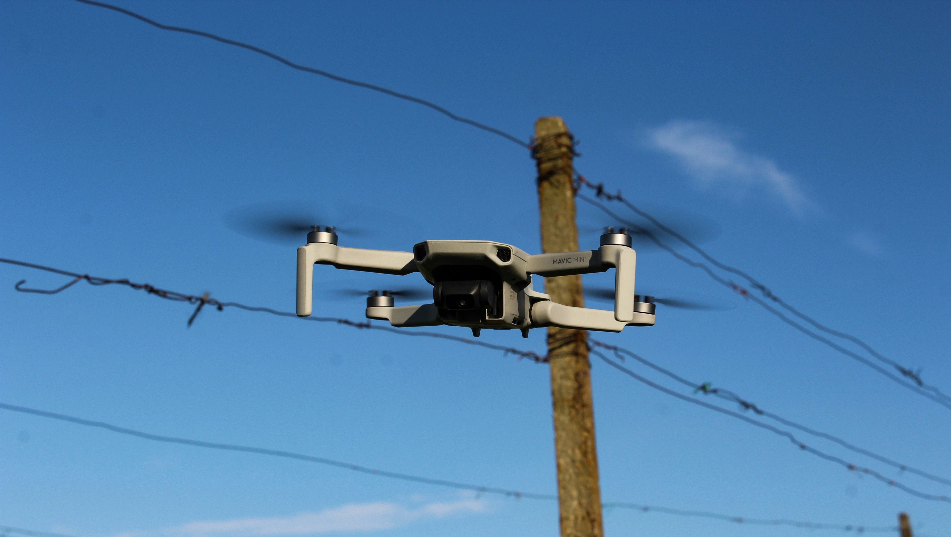 Drone pole guy wires