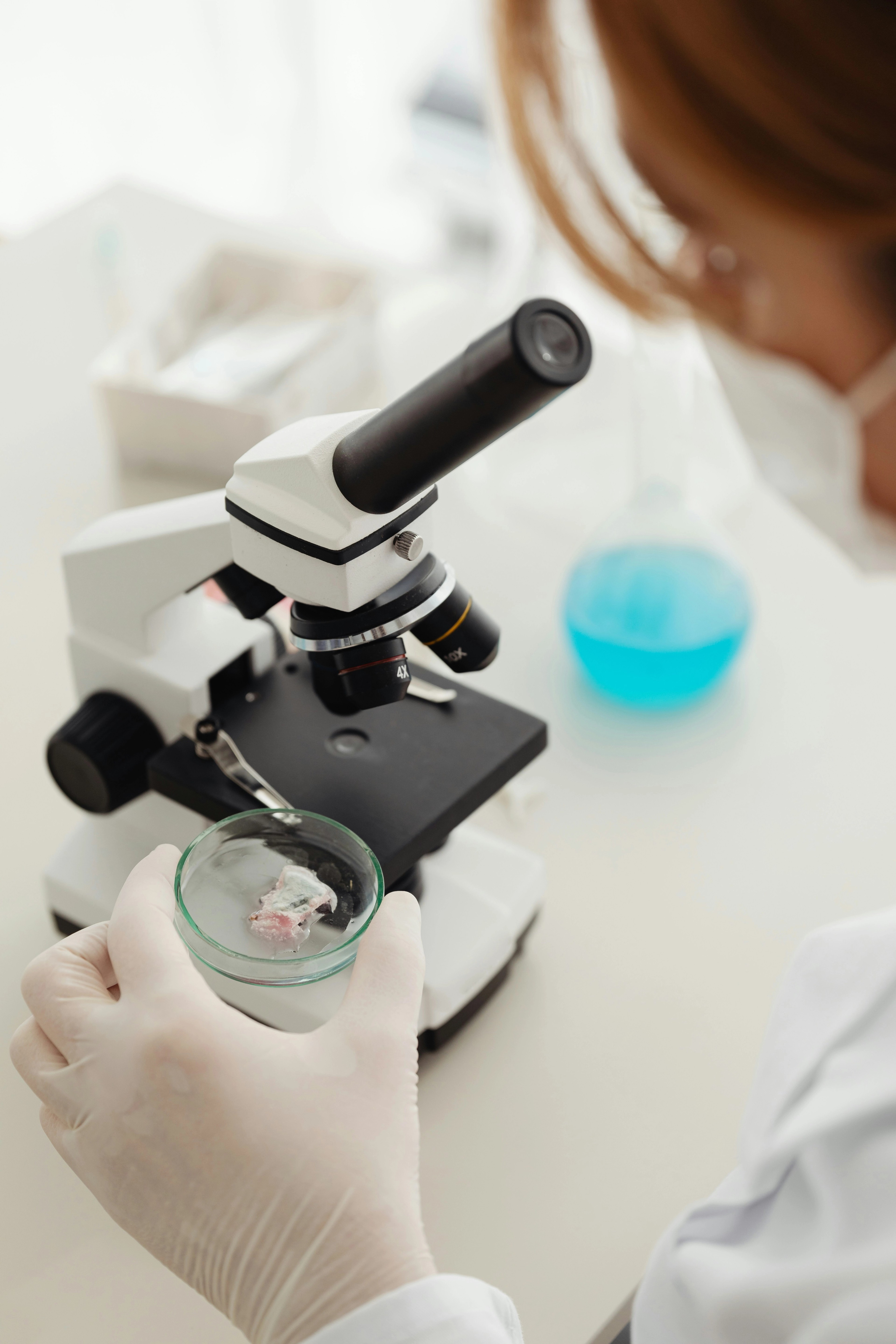 Building a prototype for One-Click drug discovery cover image
