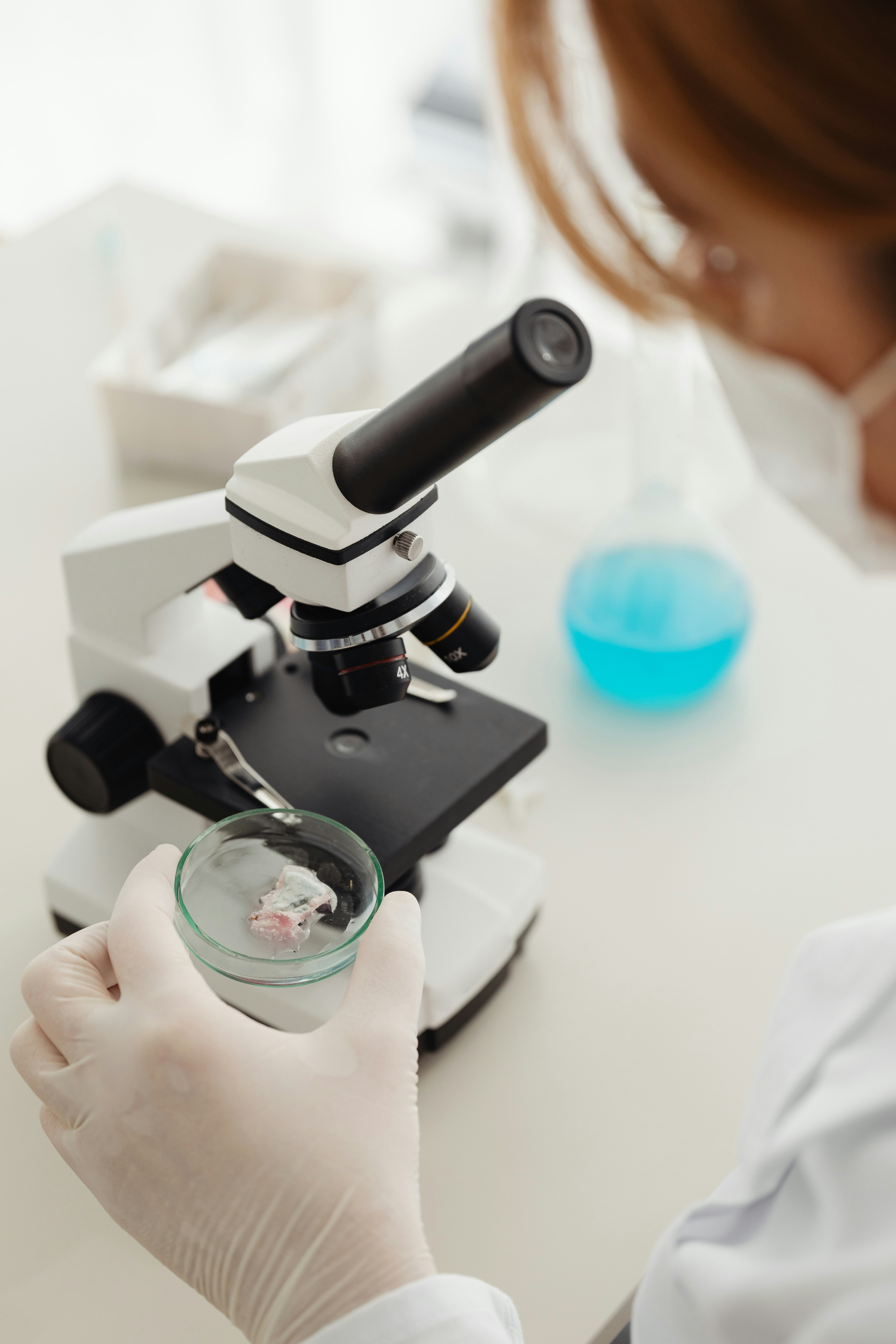 Building a prototype for One-Click drug discovery cover image