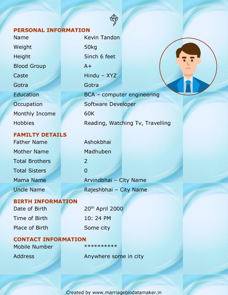 Hindu Marriage Biodata Template 2