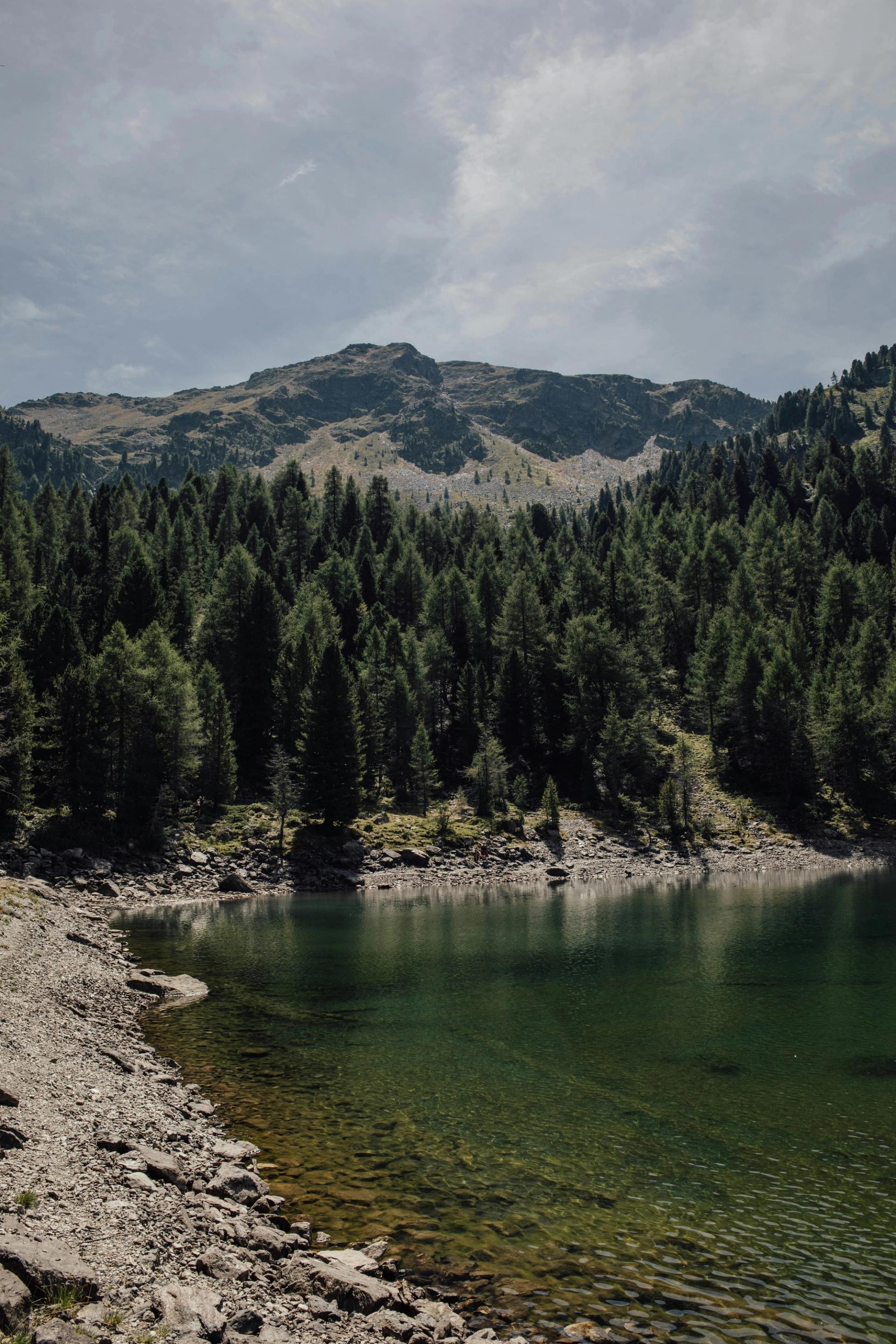 Alpine peaks and forested valley in the Tirol region of Austria