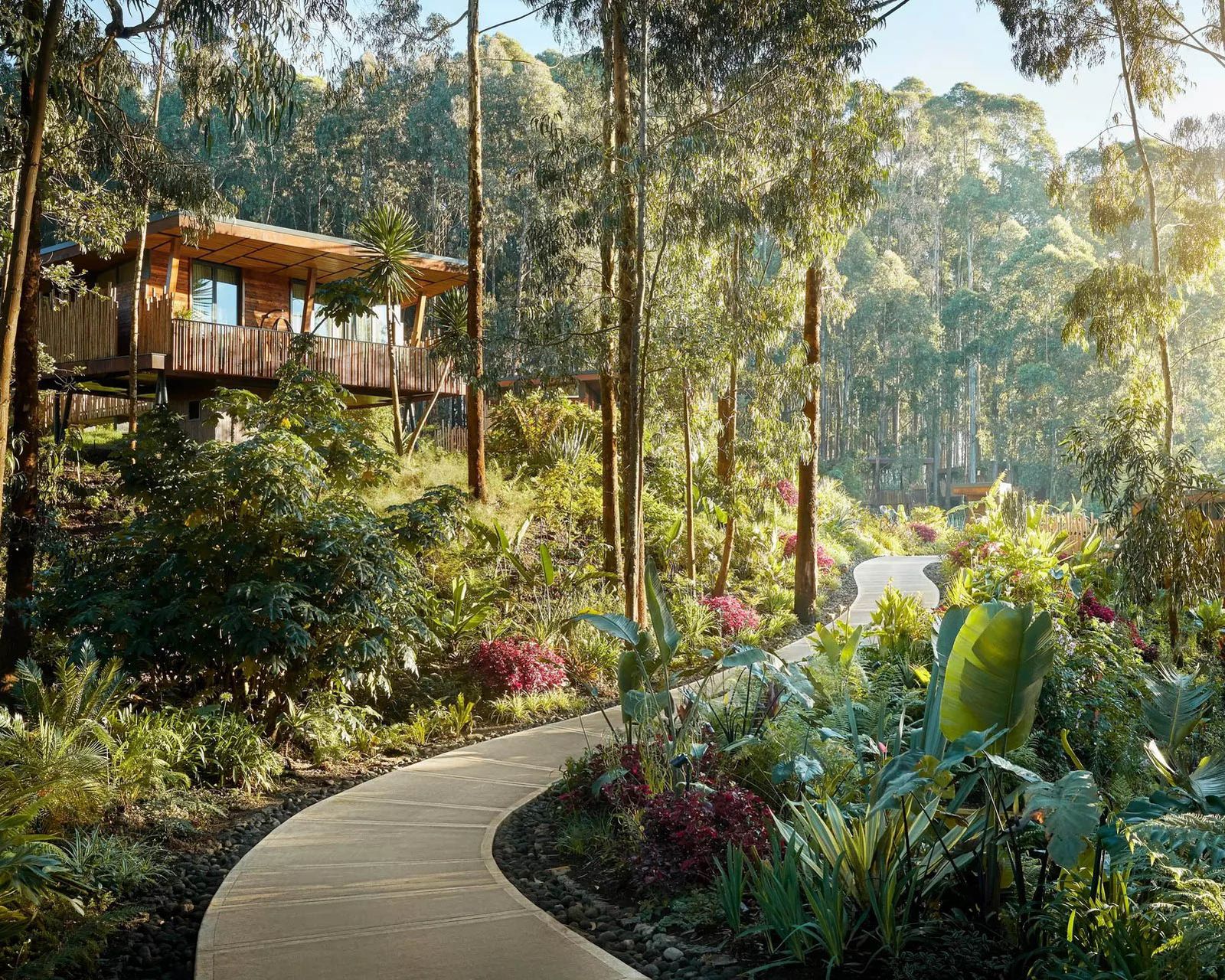 Gorilla's Nest - Treehouse Villa