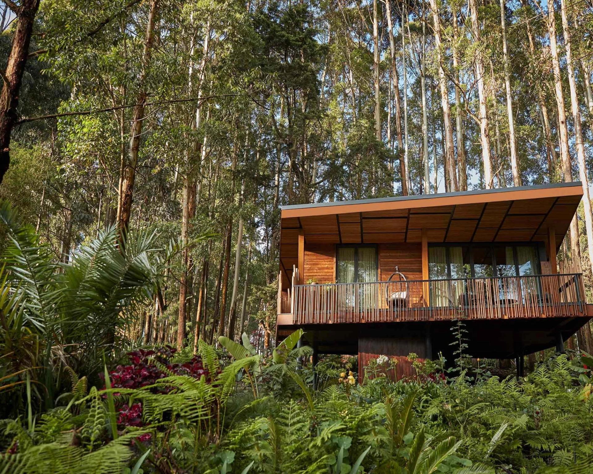 Gorilla's Nest - Treehouse Villa