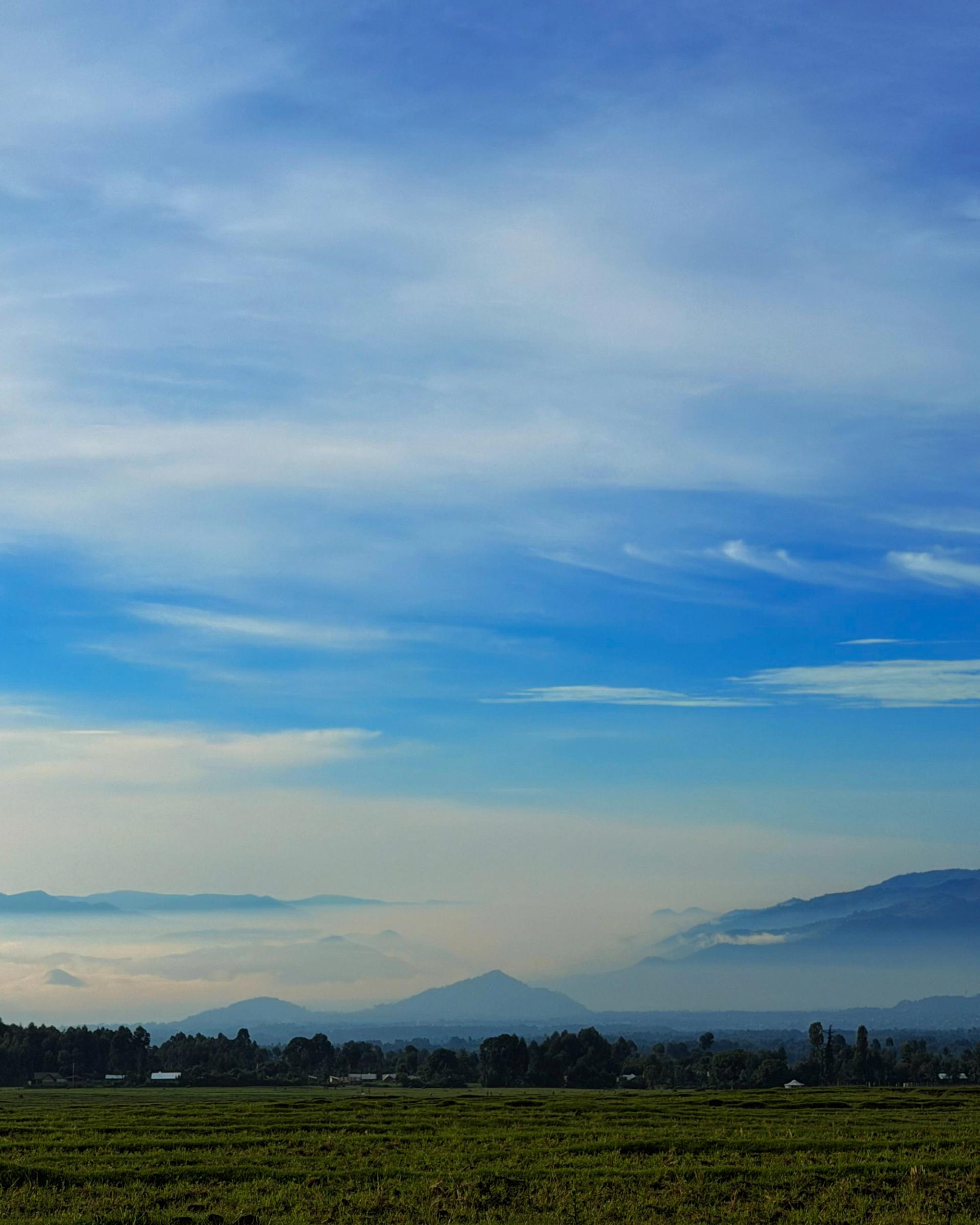 Mountains in the Mist