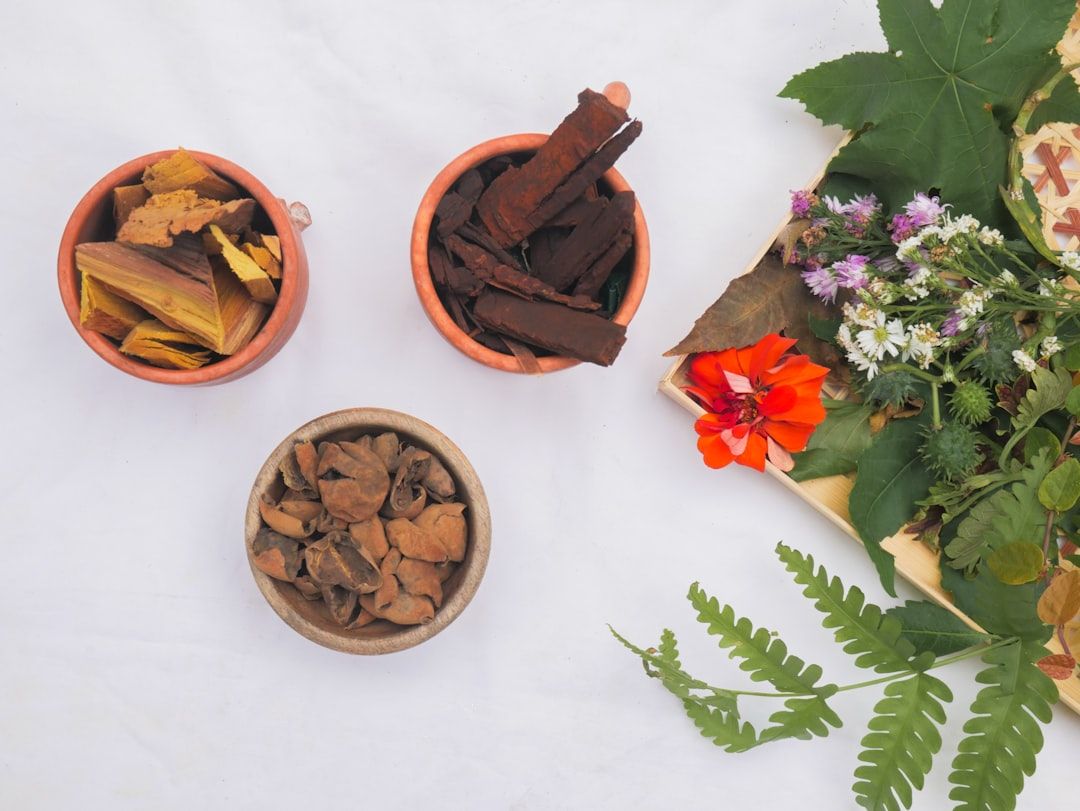 What It Feels Like to Experience Plant Medicine: A First-Person Journey — holistic health