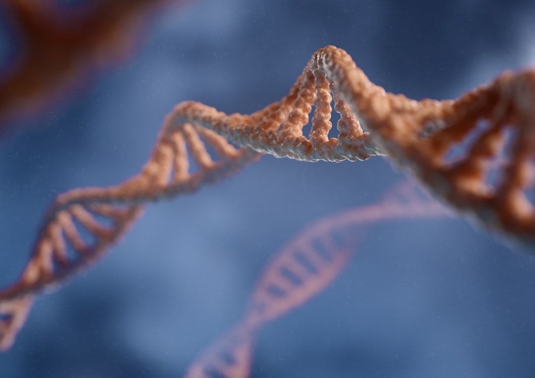 What Happens During a DNA Methylation and Repair Session — holistic health