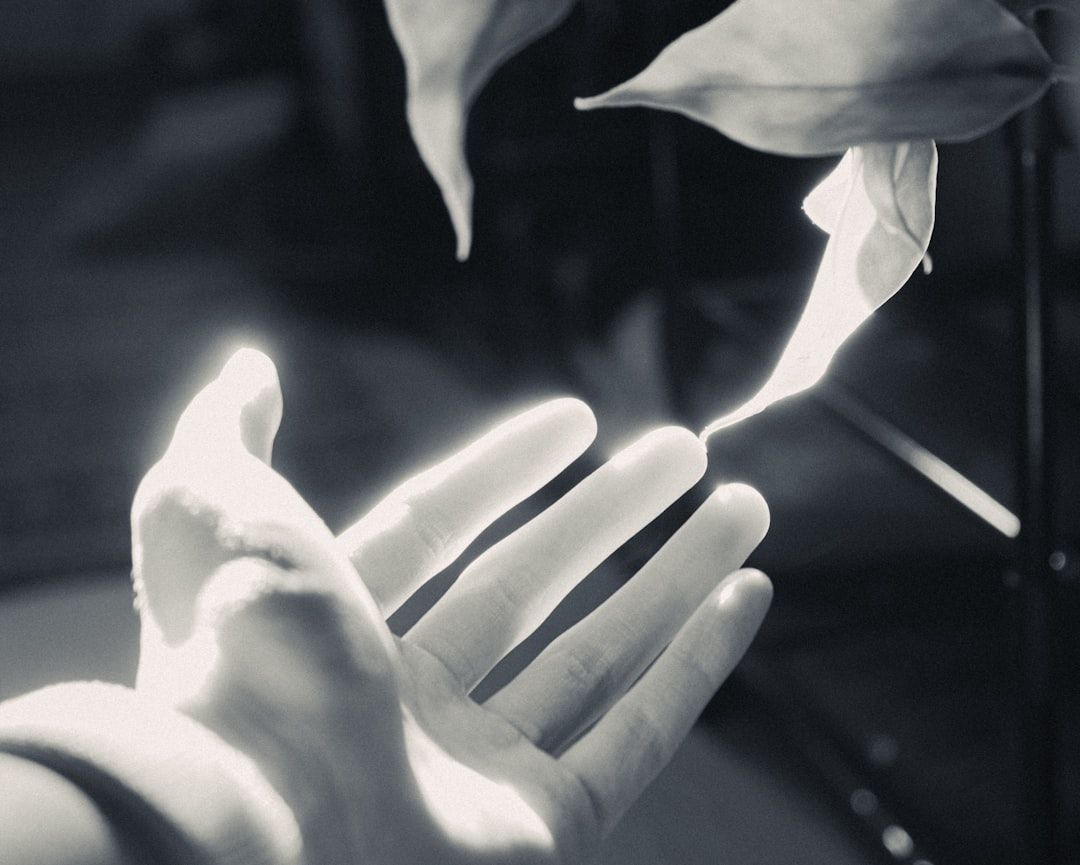 Seichim: A Guide to This Metaphysical Energy Practice — holistic health