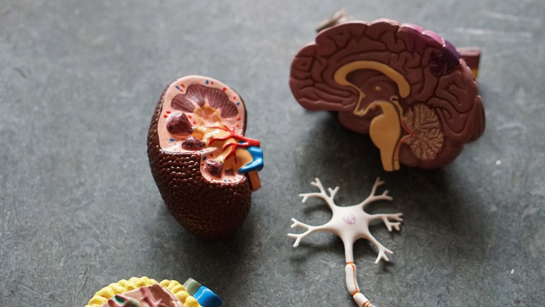What to Expect During a Nervous System Regulation Session — holistic health