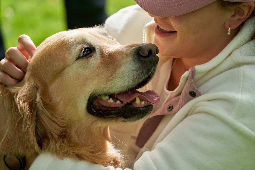 Animal-Assisted Therapy for Anxiety: What the Evidence Says — holistic health