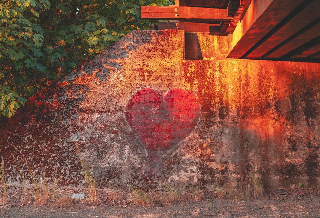 Emotional Healing: From Therapy Room to Energy Work — holistic health