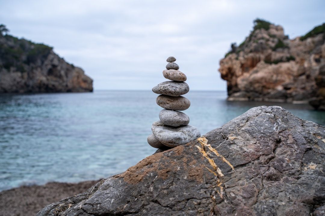 Inside an Emotional Trauma Processing Session: What to Expect During EMDR and Trauma-Focused Therapy — holistic health