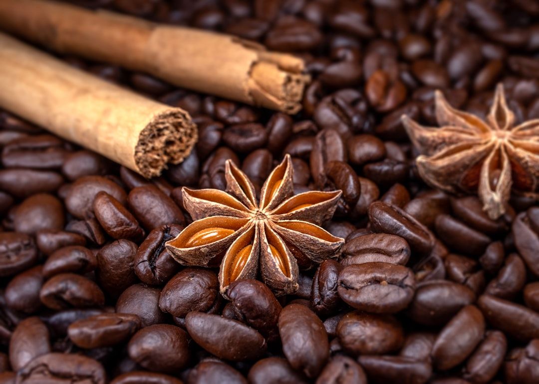 Starseed Research Review: Understanding the Evidence for Cosmic Soul Origins — holistic health