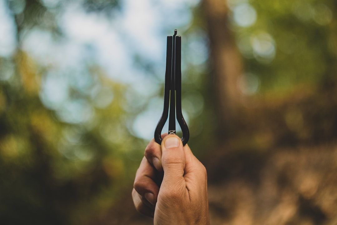 What Happens During a Tuning Fork Therapy Session: Your Complete Guide — holistic health