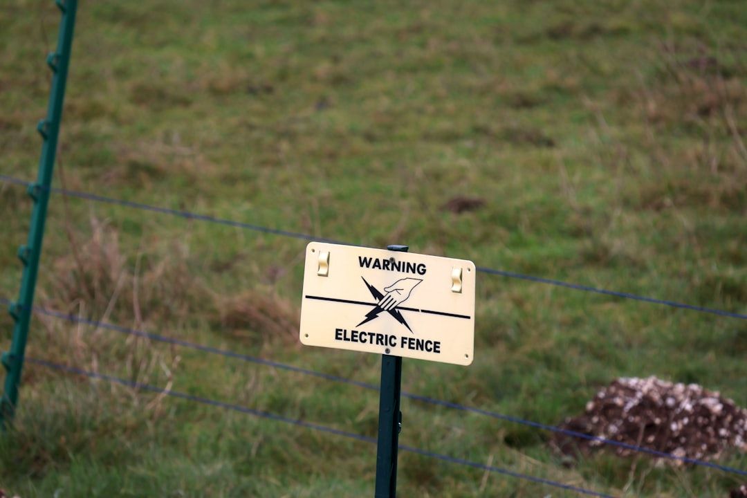 Earthing: What Happens When You Reconnect with the Ground Beneath Your Feet — holistic health