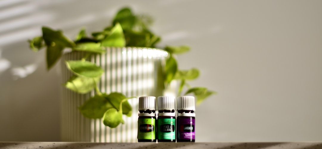 Using CBD Tinctures: What to Expect During Your First Experience — holistic health