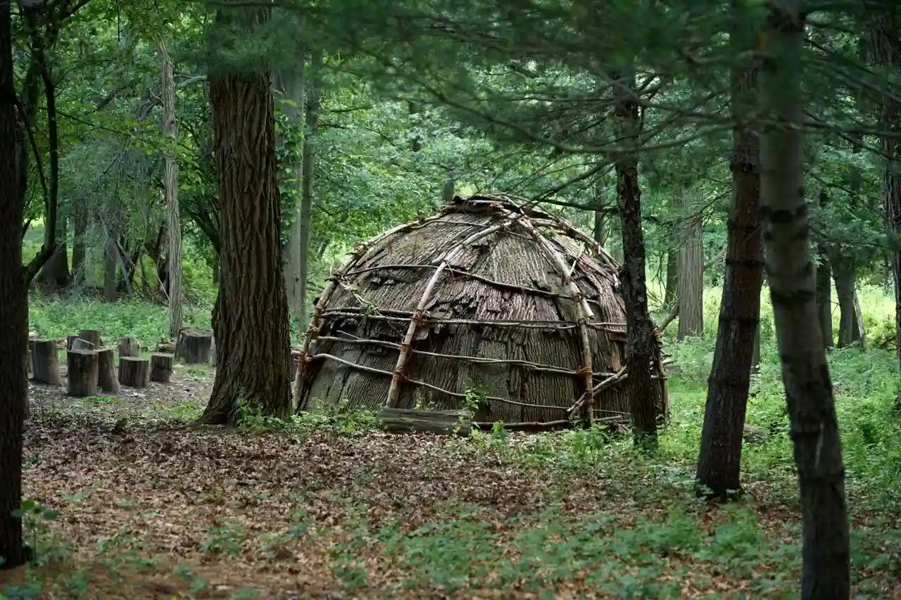 A dome-shaped sweat lodge frame of bent saplings covered with woven matting, standing in a clearing among trees.