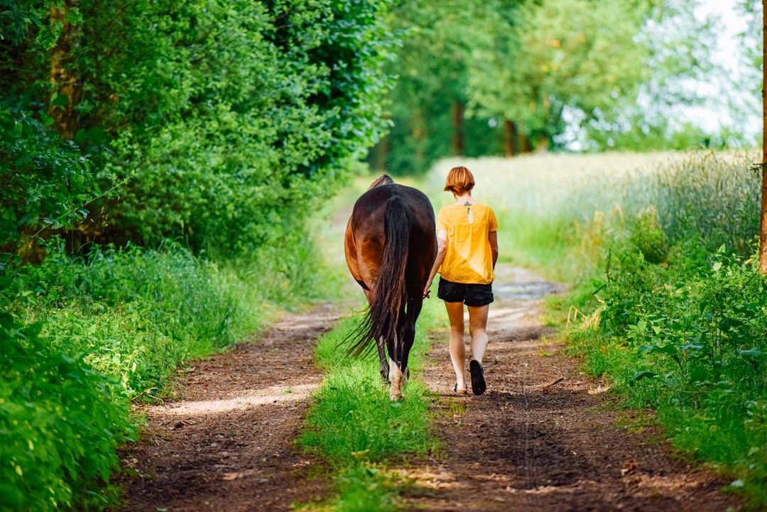 What to Expect During Your First Equine Assisted Therapy Session — holistic health