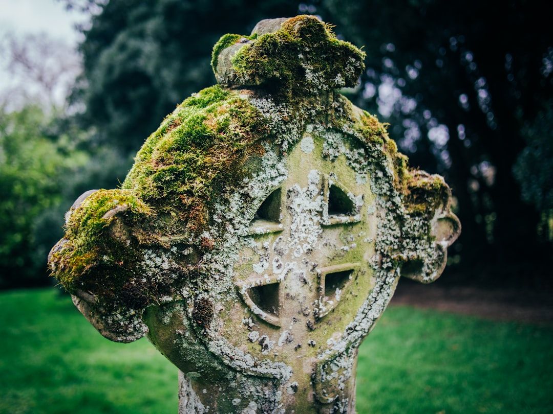 What Happens During a Celtic Spiritual Practice Session — holistic health