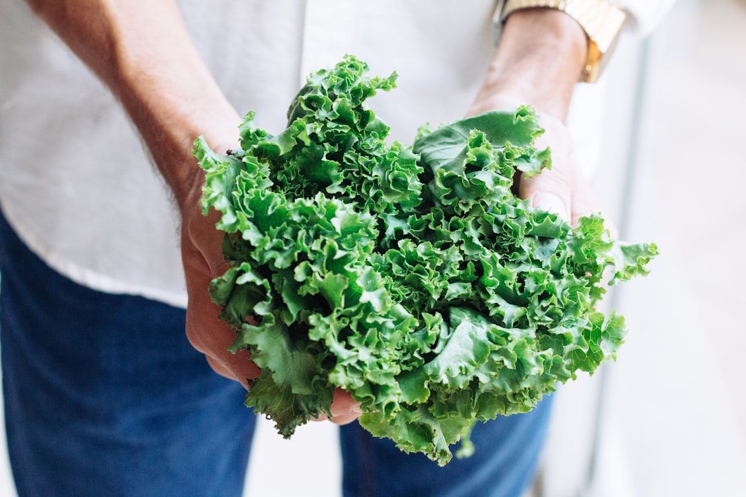 What to Expect During Low-FODMAP Diet Consultation and Implementation — holistic health