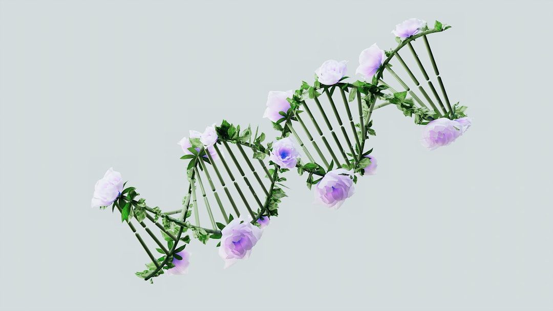 DNA Methylation and Repair: The Emerging Science of Genetic Optimisation — holistic health