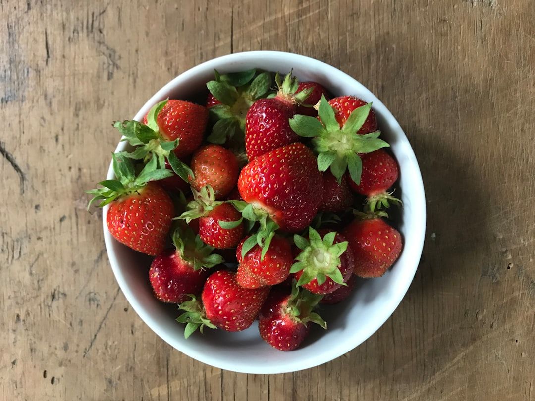 Holistic Nutrition Research Review — holistic health