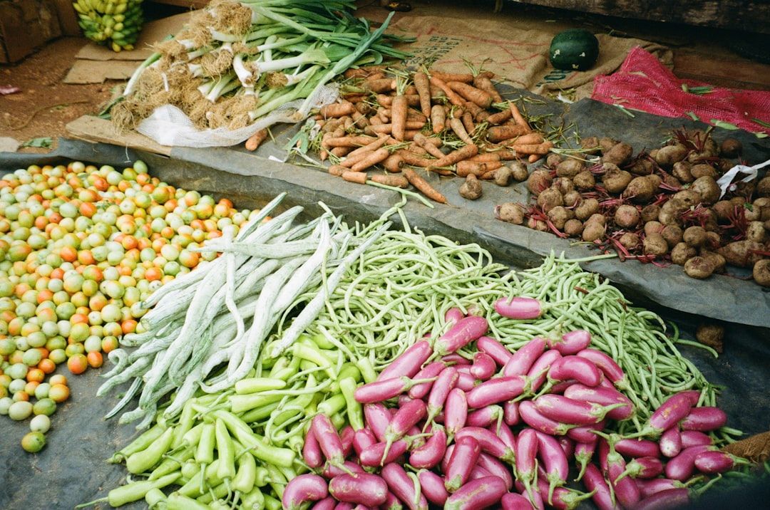Raw Food Diet: A Holistic Guide to Enzyme-Rich Eating for Wellness — holistic health