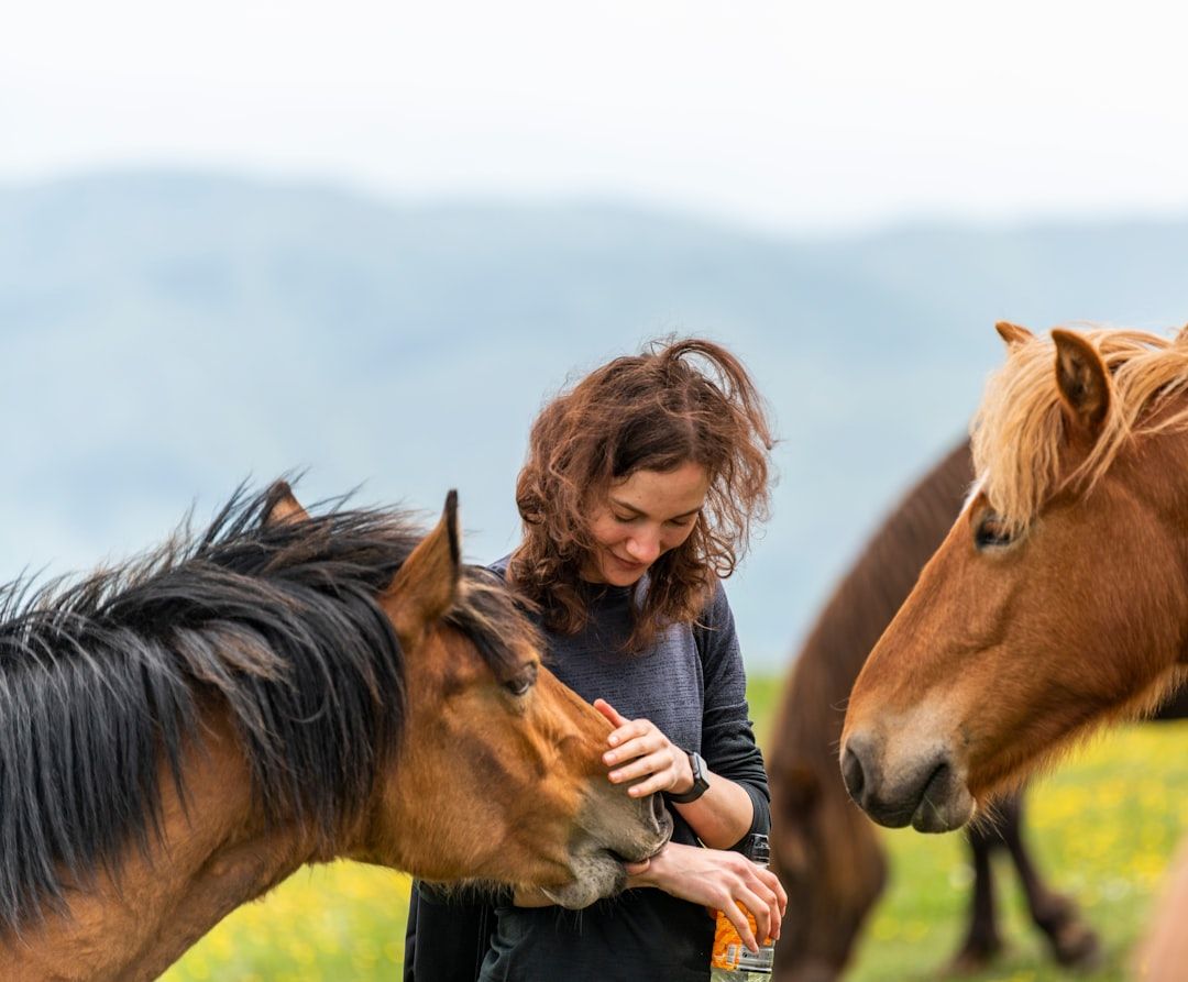 Equine Reiki: Energy Healing for Horses' Emotional and Physical Wellbeing — holistic health