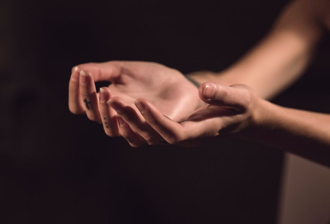 Polarity Therapy: A Complete Guide to Energetic Bodywork for Wellness — holistic health