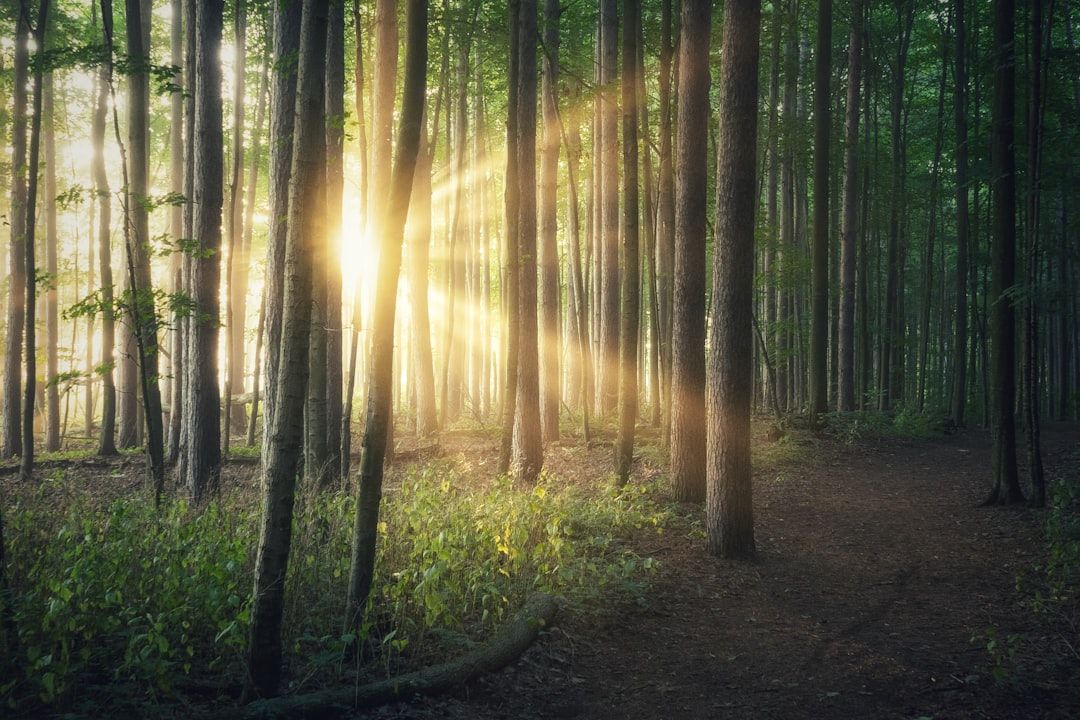 Soul Retrieval: A Guide to This Metaphysical Healing Practice — holistic health