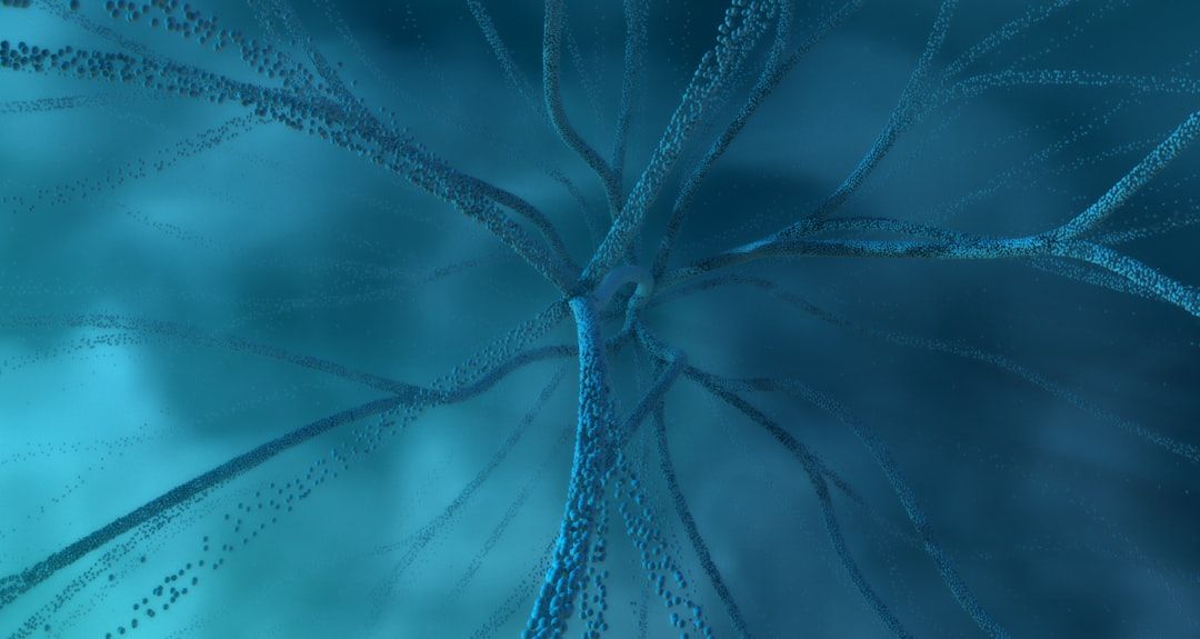 Polyvagal-Informed Therapy: A Guide to Nervous System Healing — holistic health