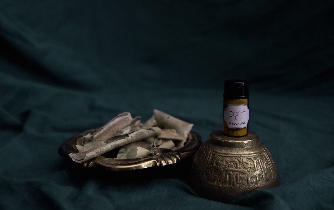 Rasayana Therapy: A First-Person Experience of Rejuvenation and Renewal — holistic health