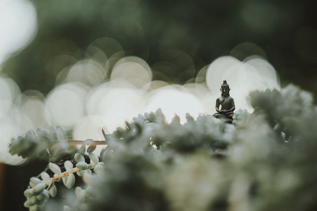 Spiritual Guidance: Finding Direction Through Sacred Mentorship — holistic health