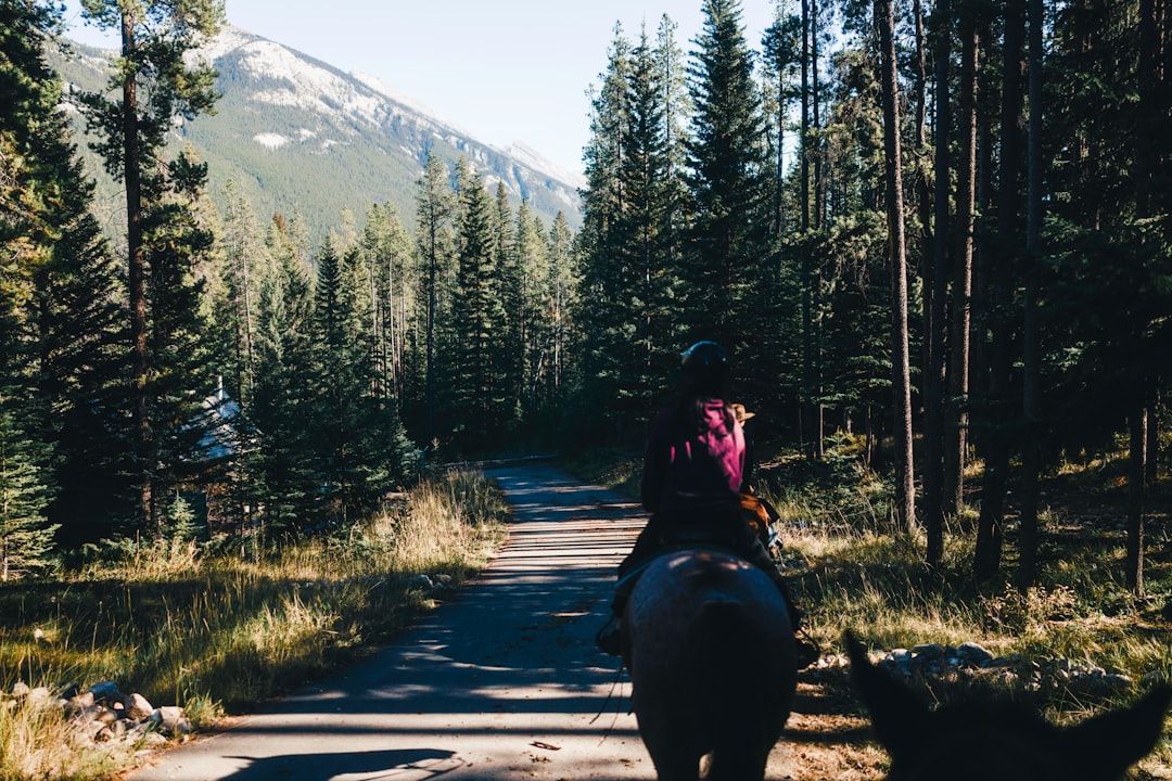 Equine Reiki Research Review: Energy Healing Meets Veterinary Practice — holistic health