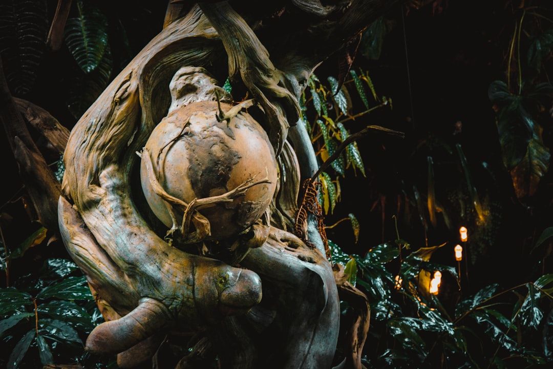 Ayahuasca Ceremony: Research Evidence for Mental Health and Emotional Healing — holistic health