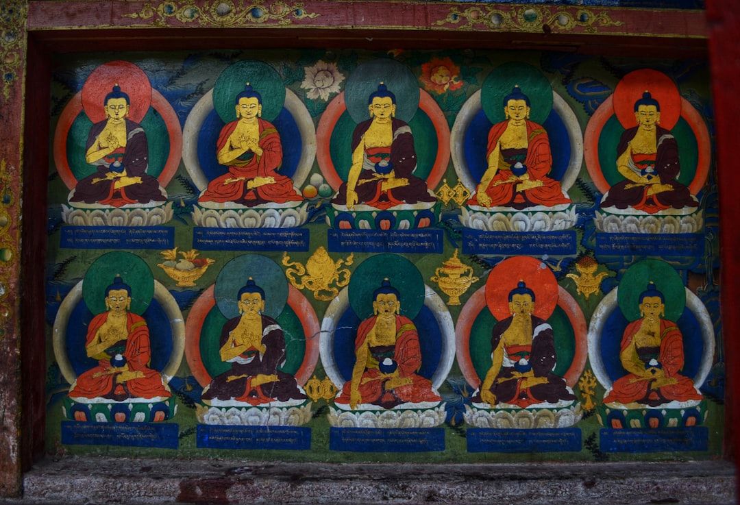 What Happens During a Tibetan Medicine (Sowa Rigpa) Consultation — holistic health