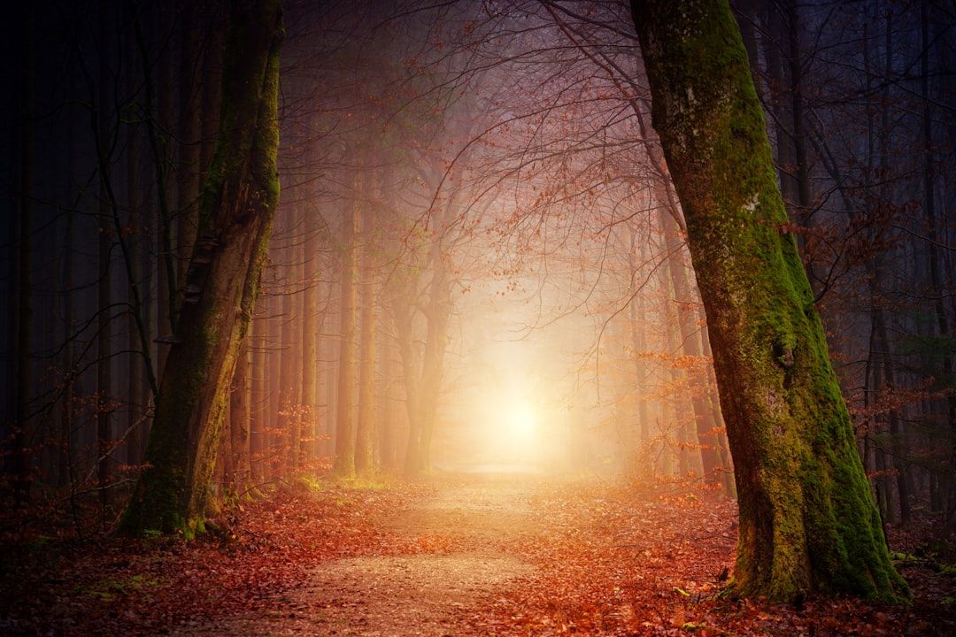 Soul Retrieval: What Happens in a Shamanic Session for Wholeness — holistic health