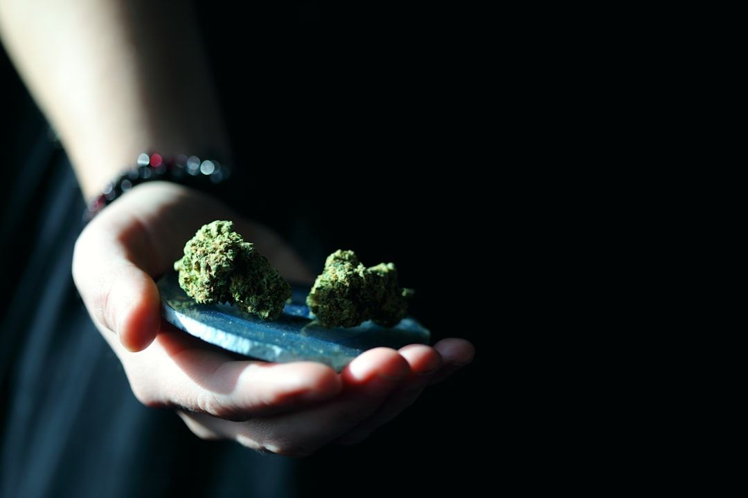 CBD Foods: What the Evidence Shows About Edible Cannabidiol — holistic health