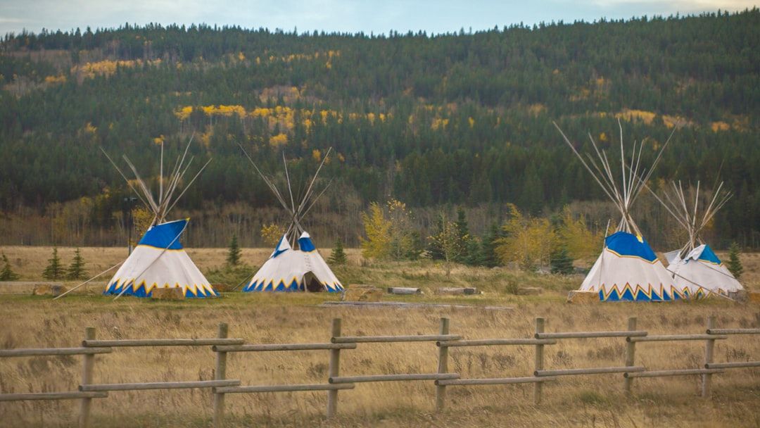 First Nations Healing Research Review — holistic health