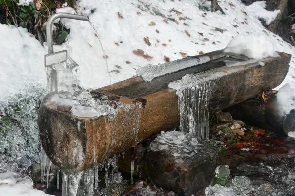 The Role of Structured Water