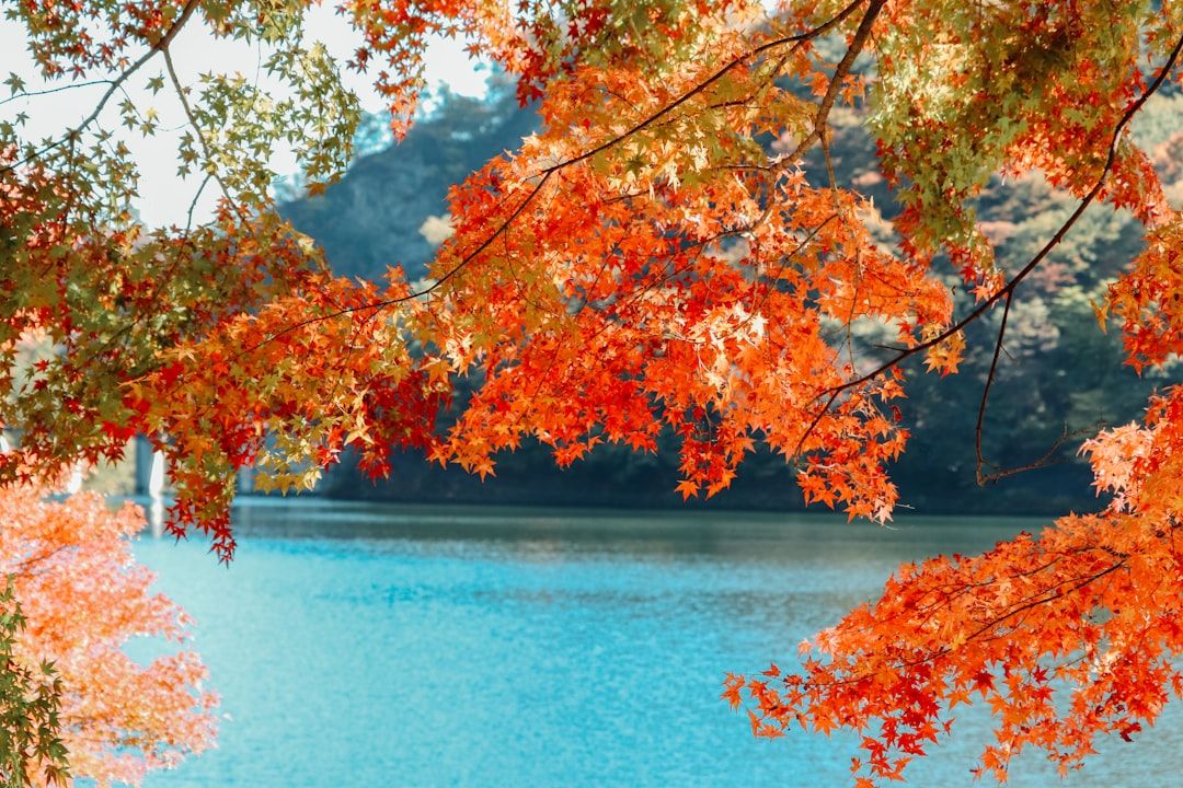 What to Expect During Your First Usui Reiki Session — holistic health