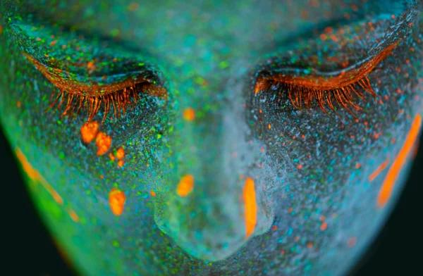 Understanding Twin Flames: Concept, Origin, Attraction, and Distinction from Soulmates