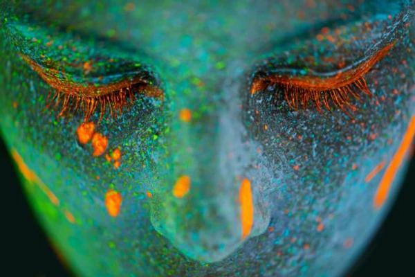 Understanding Twin Flames: Concept, Origin, Attraction, and Distinction from Soulmates